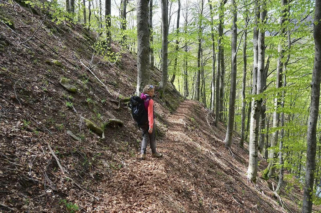 Il Rifugio Dell'Aquila Hotel Ligonchio Feriepark